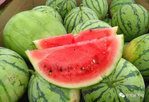 丽水今日吃瓜事件视频最新,视频揭秘惊人真相，网友热议不断