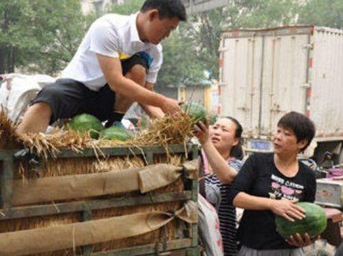 德州平原县吃瓜事件视频,一场引发热议的街头冲突