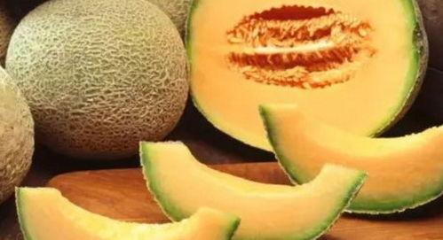 叮当吃哈密瓜的视频