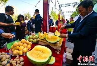 乌海最新吃瓜事件视频,视频揭秘惊人真相！