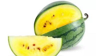 吃田瓜还是西瓜好吃呢视频,一场味蕾的较量，谁更胜一筹？