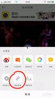 吃瓜视频赵一菲微博号,吃瓜视频背后的故事与真相”
