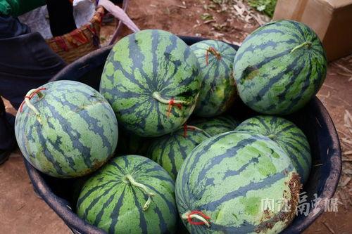 武都清水沟吃瓜视频,揭秘背后真相与网友热议