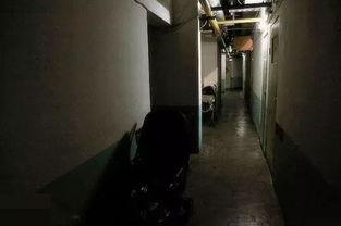 地下室吃瓜事件真相视频,真相视频曝光背后的惊人内幕