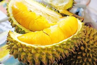 带你吃瓜红色榴莲视频,带你揭秘带你吃瓜的美食之旅