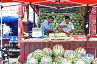 江苏常州吃瓜视频,一网打尽本地特色美食瞬间