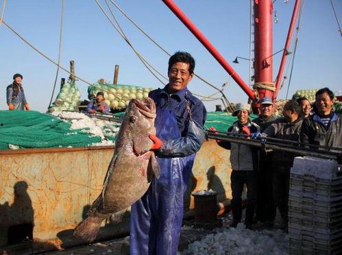 舟山渔民吃瓜事件视频播放,一场引发网友热议的乡村美食盛宴