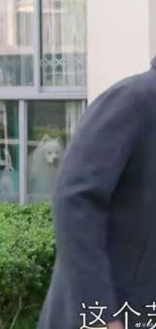 老大爷吃瓜怎么吃视频