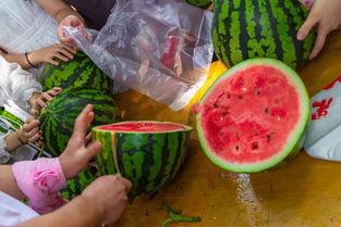 农大跳舞吃瓜视频大全最新,吃瓜视频大盘点