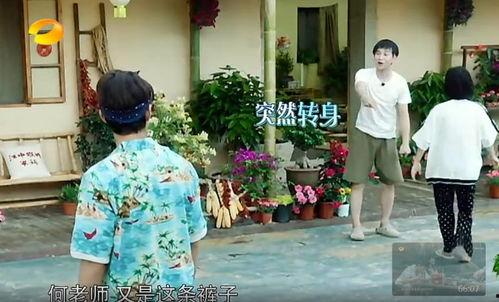 吃瓜视频向往的生活