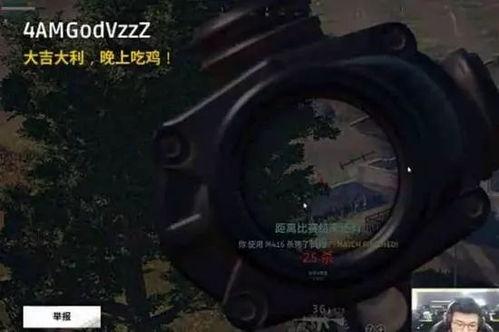 韦神吃鸡杀麻瓜视频,精彩瞬间回顾