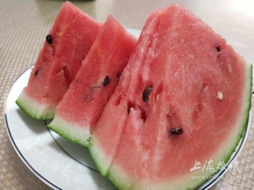 全国最新吃瓜视频网站,揭秘最新热门事件背后的真相