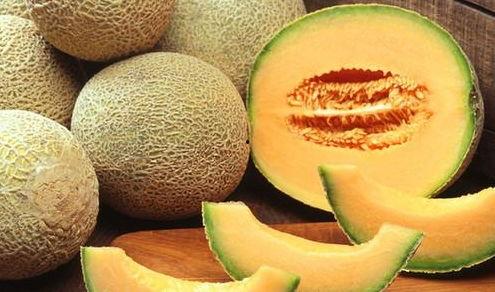 吃哈密瓜的小蘑菇视频大全,哈密瓜小蘑菇趣味视频大盘点