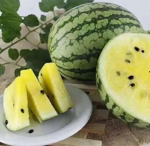 庵埠吃瓜视频2023,揭秘当地美食文化新潮流