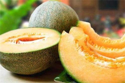 吃哈密瓜食物视频教程大全,视频大全带你轻松学会各式哈密瓜料理