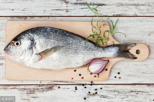 吃肉吃鱼吃瓜视频大全,美食视频大全大揭秘