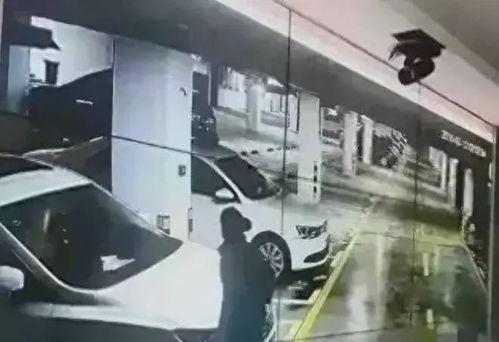 吃瓜车库事件视频下载,揭秘视频背后的惊人真相
