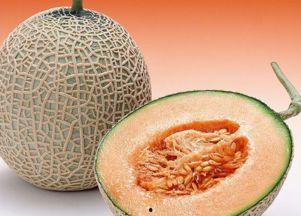 跑步人吃哈密瓜好吗视频