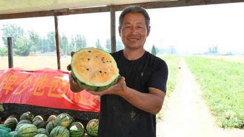 临沂二哥吃瓜视频最新一期,揭秘本期热门事件幕后真相