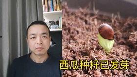 吃瓜群众小情侣视频大全,小情侣吃瓜群众视频大盘点