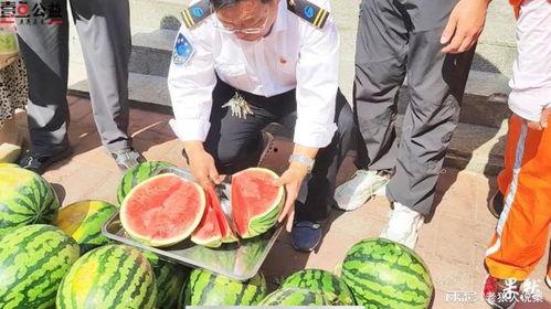 志愿者吃瓜视频,揭秘幕后趣事