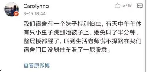 宿舍女生视频吃瓜,揭秘校园生活趣味瞬间