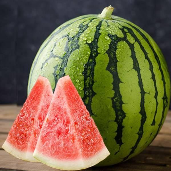 长垣吃瓜完整视频,一场引发热议的网络狂欢