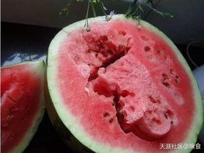 吃瓜视频测评怎么做的呀,如何打造热门美食攻略