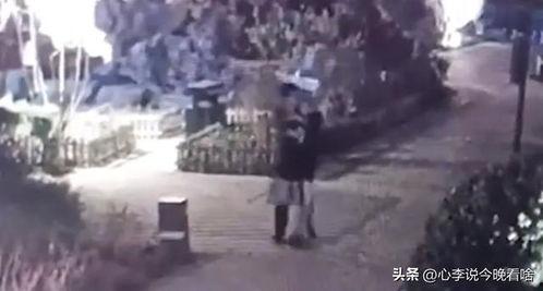 马虎吃瓜视频完整版,揭秘视频背后的趣味与真相