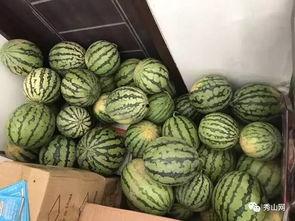 宜兴丁蜀视频吃瓜,一场别开生面的“吃瓜”盛宴