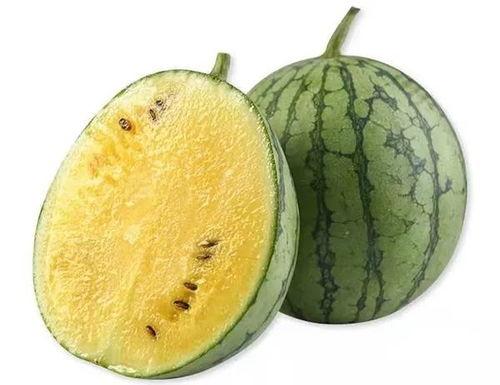 公园板凳吃瓜视频,揭秘日常生活中的趣味瞬间