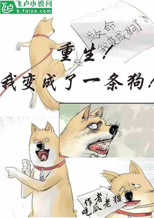 小狗吃瓜视频合集下载,小狗吃瓜视频合集趣味盘点