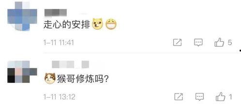 酒店评论区吃瓜视频怎么拍,揭秘网友真实住宿体验瞬间