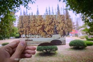 南通大学长椅视频吃瓜,一场校园“吃瓜”盛宴