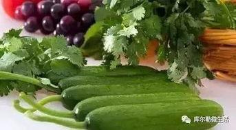 库尔勒吃瓜视频在线观看,夏日炎炎，一起畅享欢乐时光