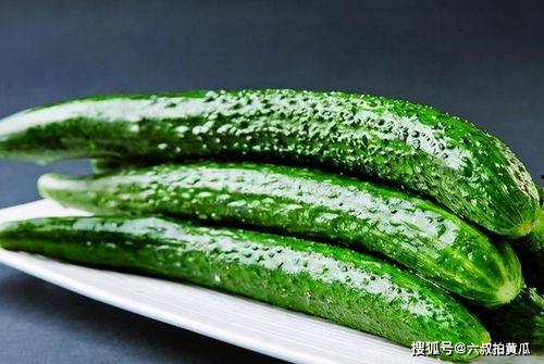 吃瓜小黄瓜视频大全