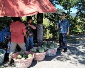 吃瓜群众进村视频,一场别开生面的乡村体验之旅