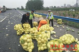 许昌吃瓜新闻视频,揭秘当地热点事件背后的真相
