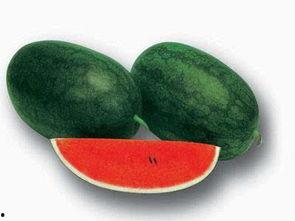 吃瓜会不会食物中毒呢视频,揭秘食物中毒风险与预防措施