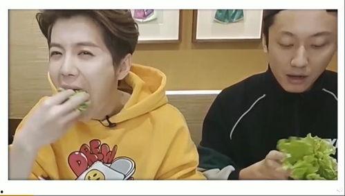 吃瓜小熊朴志晟视频大全,趣味横生的欢乐时光