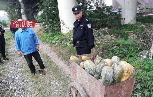 崇义县吃瓜事件真相视频,揭秘背后真相与争议