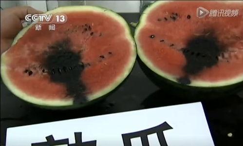 吃红瓜的视频,视频带你领略美味瞬间