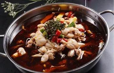 刘大瓜吃牛蛙火锅视频