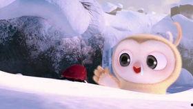 吃瓜搞笑知识视频下载,笑料横生，欢乐无限！