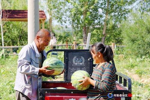 吃瓜群众李小美视频,揭秘娱乐圈幕后故事