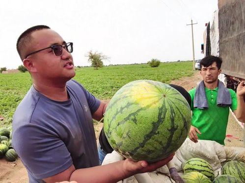 乌鲁木齐方仓吃瓜视频