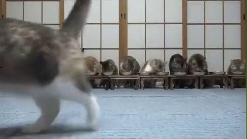 美女吃瓜发现可怜虫视频,视频引发网友热议