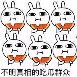 吃瓜表达视频的句子,吃瓜群众视角下的短视频盛宴