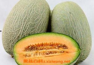 哈密瓜怎么吃嫩苗视频讲解,视频教程详解