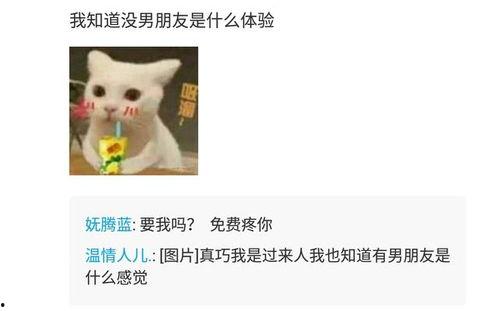 吃瓜朋友吃狗粮视频下载,揭秘吃瓜群众如何下载“狗粮”视频